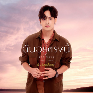 เก้า จิรายุ cover