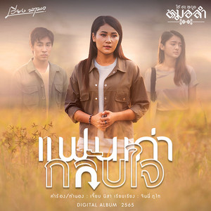 เวียง นฤมล cover